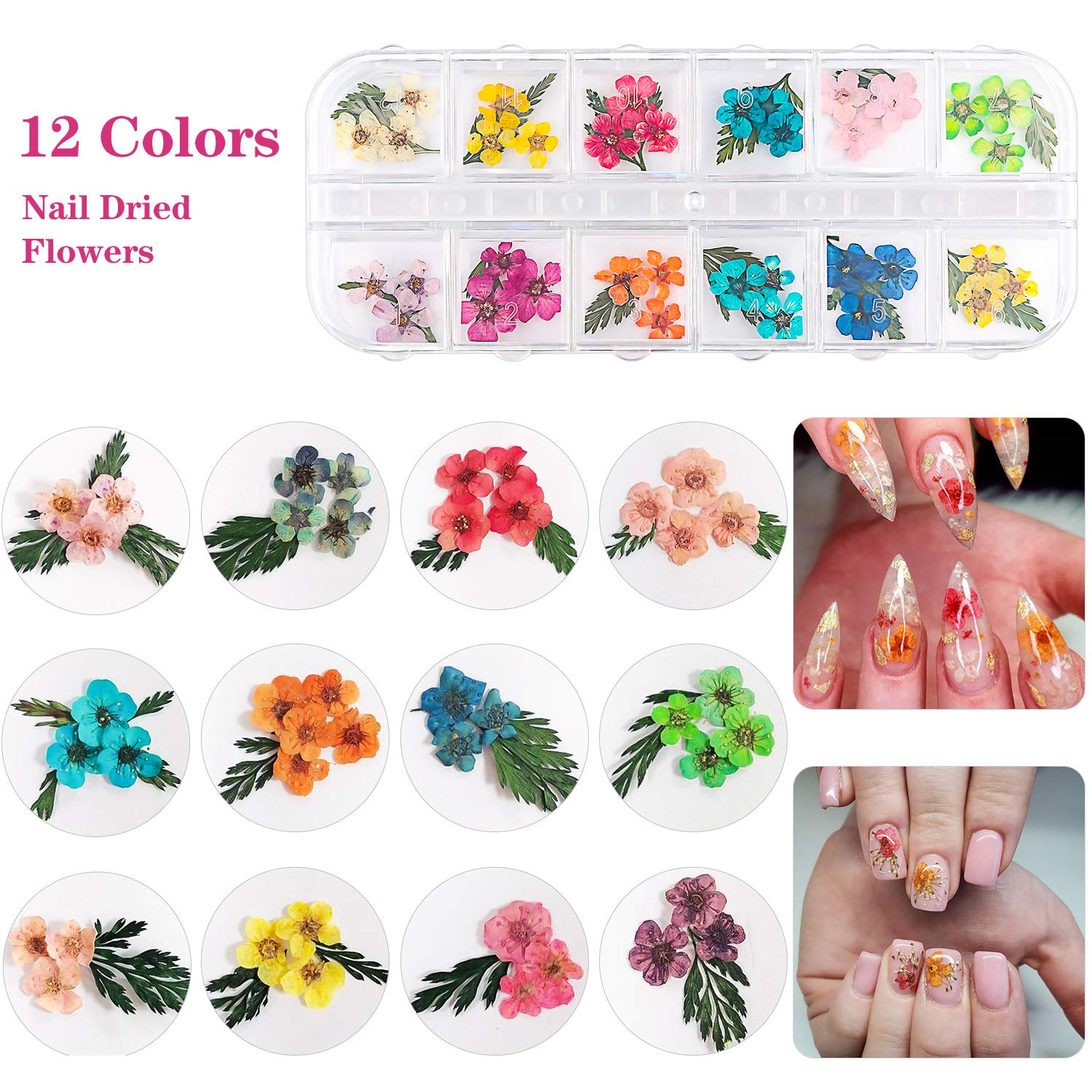 48 Colors Dried Flowers Nail Art Butterfly Glitter Flake 3D Holographic, Tufusiur Dry Flower Nails Sequins Acrylic Supplies Face Body Gifts for Decoration Accessories & DIY Crafting: Beauty