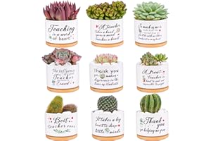 SAIWEILAI ONLINE 9 Pieces Teacher Appreciation Gifts Ceramic Succulent Plant Pot Small Flower Planter Funny Cute Succulent Plant Pot Planter Succulent Accessories for Teacher Christmas Birthday Gift
