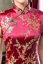 Shanghai Story Short Sleeve Long Qipao Brocade