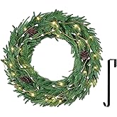 ELYKEN 22'' Christmas Wreath with 30 LED Lights for Front Door, Xmas Wreath with Hanger, Pre-Lit Artificial Wreath Christmas Decorations with Red Berry for Indoor Outdoor Use