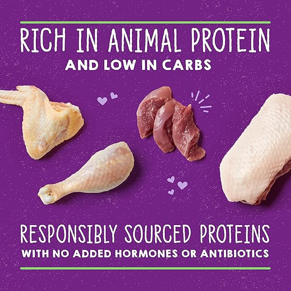 STELLA & CHEWY’S CARNIVORE CRAVINGS MINCED MORSELS CANS – GRAIN FREE, PROTEIN RICH WET CAT FOOD – CAGE-FREE CHICKEN & DUCK RECIPE – (2.8 OUNCE CANS, CASE OF 12)