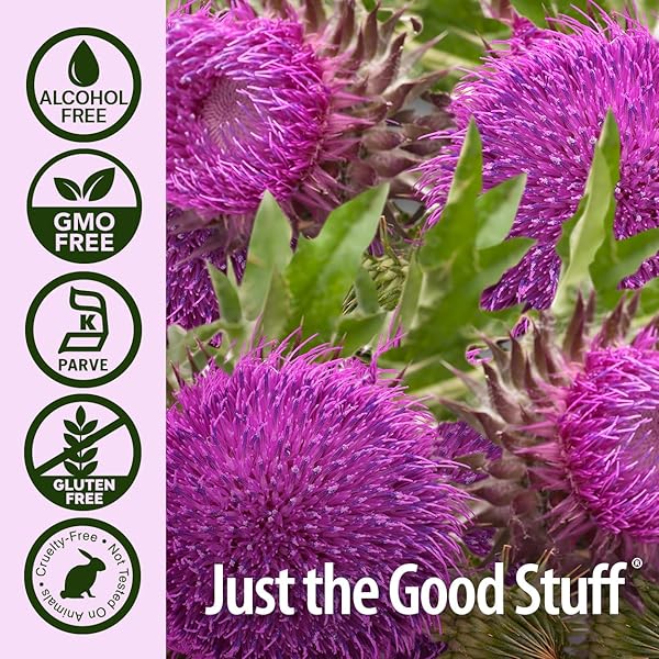 NATURE’S ANSWER MILK THISTLE 2 OUNCE EXTRACT – ALCOHOL FREE, NON GMO, LIVER SUPPORT SUPPLEMENT FOR EVERYONE – LIVER DETOX, MADE IN USA