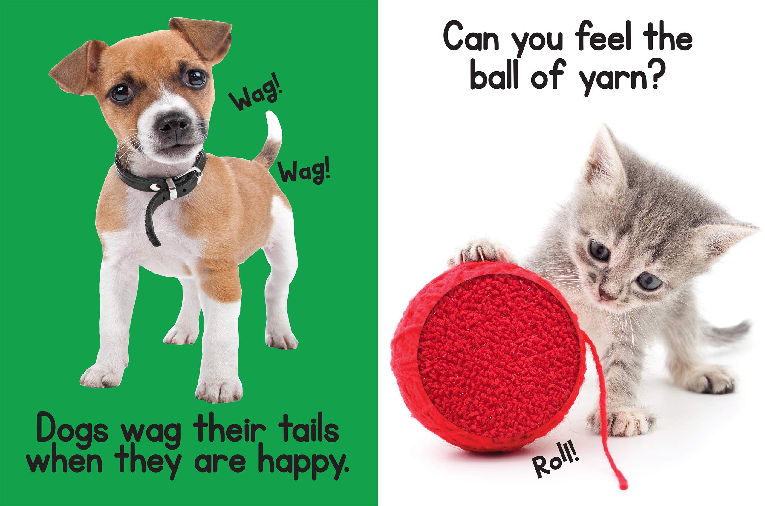 Puppies & Kitties - Touch and Feel Board Book - Sensory Board Book Puppies & Kitties - Touch and Feel Board Book - Sensory Board Book Board book