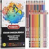 PANDAFLY Professional Charcoal Pencils Drawing Set, Skin Tone Colored Pencils, Colour Charcoal Pencils, Pastel Chalk Pencils 