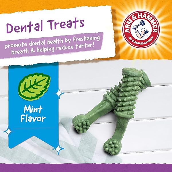 ARM & HAMMER FOR PETS NUBBIES DENTAL TREATS FOR DOGS WITH BAKING SODA AND CALCIUM, TREAT CHEWS HELP FIGHT BAD BREATH, PLAQUE & TARTAR WITHOUT BRUSHING, MD SIZE MINT, 62 PCS (PACKAGING MAY VARY)