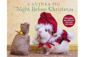 A Guinea Pig Night Before Christmas