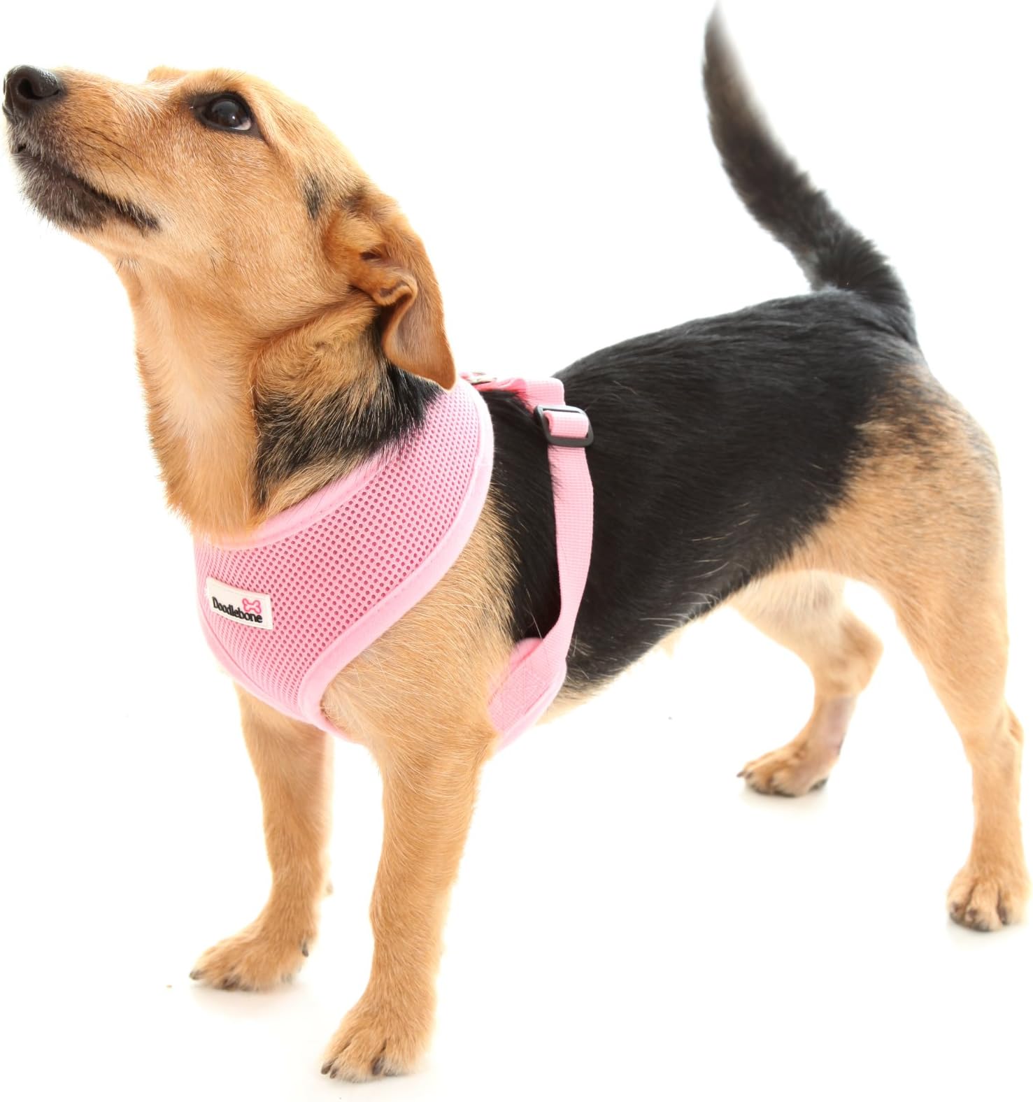 Doodlebone Airmesh Dog Harness | Padded Soft Breathable | Gentle On Dogs Necks to Help Avoid Bruising | Extra Small, Pink