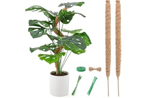 LMAIVE Moss Pole, Moss Pole for Plants Monstera, 2PCS 25'' Bendable Plant Sticks Support, Plant Stakes for Indoor Plants, Coc