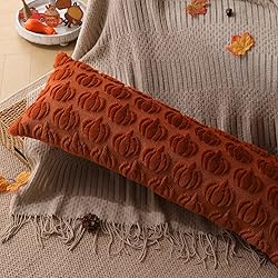 DFXSZ Fall Pillow Covers 14x36 Set of 1 Fall