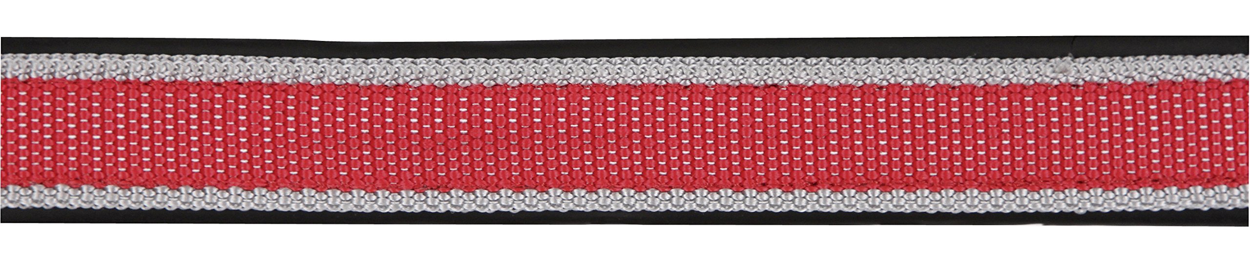 View 3