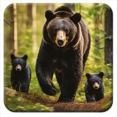 3D LiveLife Cork Coaster - Black Bear from Deluxebase. Lenticular 3D Bear Coasters. Non-Slip Table Coasters Featuring Original Artwork. Ideal for Home Decor.