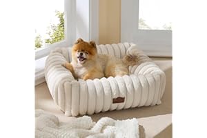 Bedsure Cute Dog Bed for Small Medium Dogs - Washable Furry Puppy Beds, Rectangle Orthopedic Corduroy Fleece Pet Beds with Removable Zipper Cover, 25x21x7inches, Cream