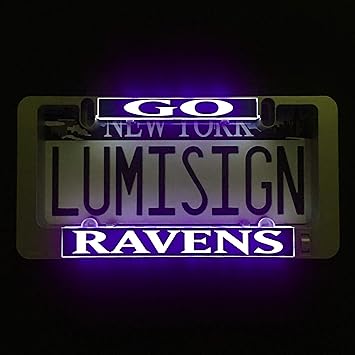 battery operated license plate light