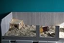Meerschweinchenkäfig XXXL 2,15m - Artgerechtes Gehege Made In Germany
