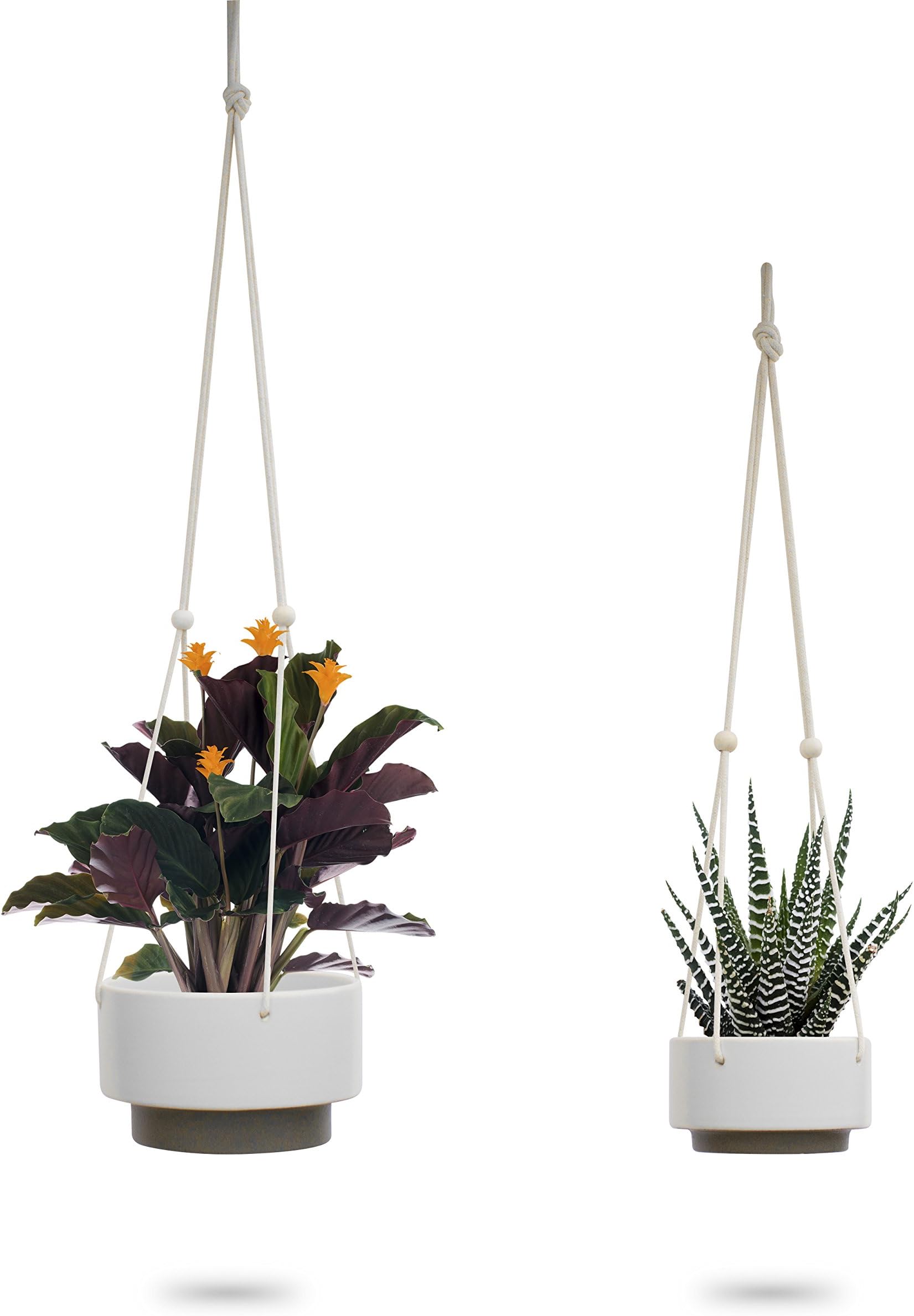 Ceramic Hanging Planter, White Gray Succulent Pots, Round Plant Holder Container, Cactus Pot with Cotton Rope Hanger, Indoor Outdoor Decor, 23 Bees (2 Pack)