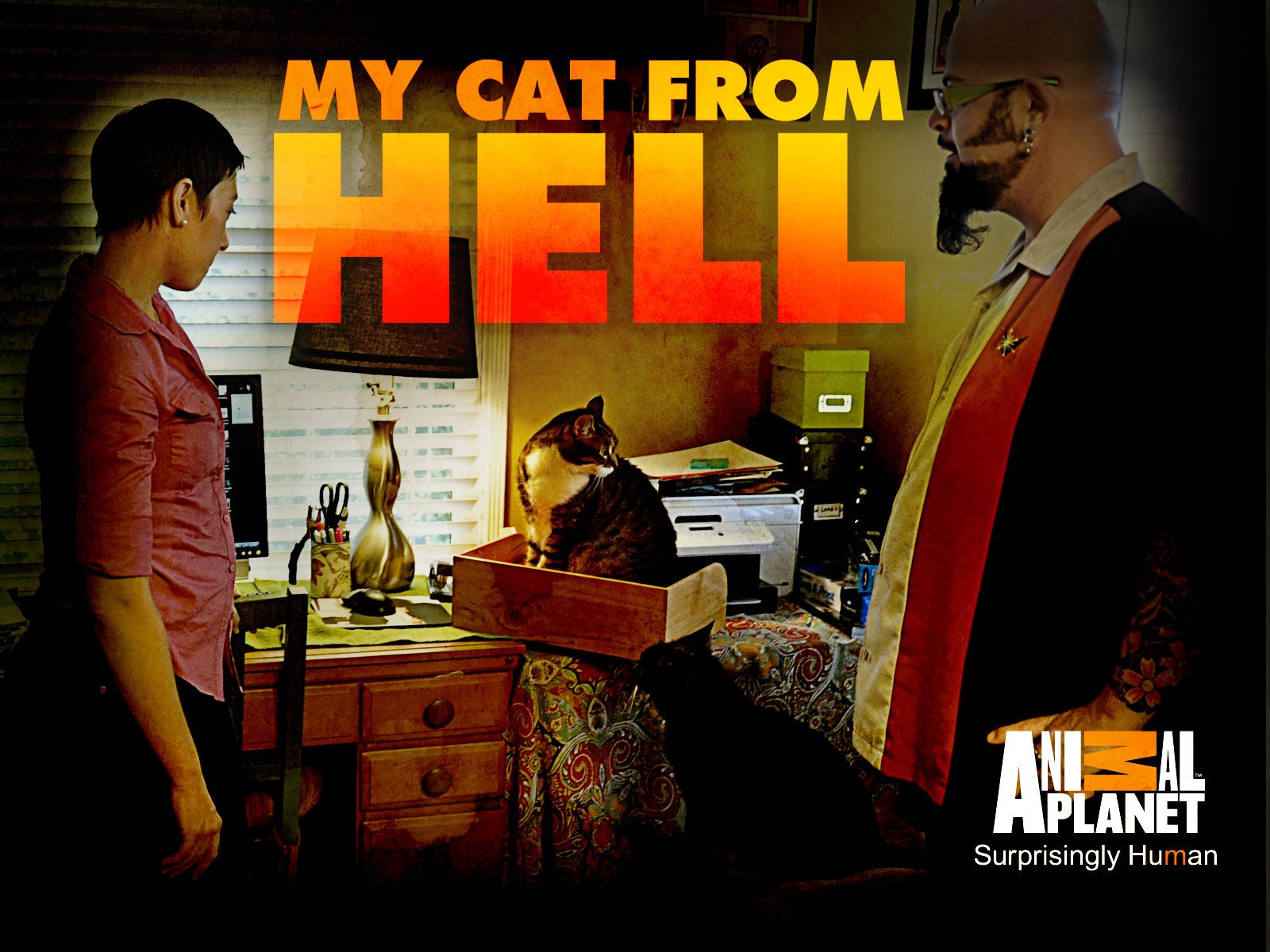 my cat from hell season 2