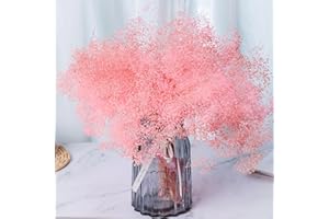 KOCEKO Mini Dried Baby's Breath Flowers Bulk - 2500+ Gypsophila Dry Flowers Bouquet(1.4oz), 100% Natural Preserved Baby Breath Flower Branches for Wedding, DIY Crafts, Vase, Floral Arrangement (Pink)
