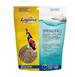 Laguna Spring & Fall Floating Food with Wheat Germ