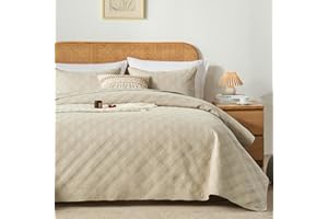 inron Queen Quilt Bedding Set,Soft Ultrasonic Full/Queen Quilt Set, Lightweight Beige Bedspread Queen Size,Cozy Geometric Coverlet Set for All Seasons(Includes 1 Quilt and 2 Pillow Shams)