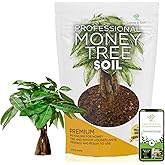Professional Money Tree Soil | Large 2.2 Quarts Ready to Use for Money Tree Plants | Peat Moss, Coco Coir, Perlite, Dolomite | Made in USA