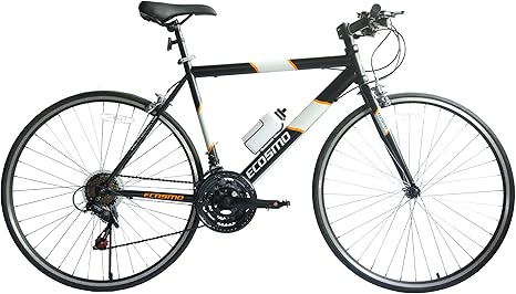 ecosmo road bike