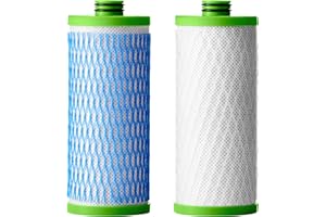 AO Smith Claryum Filter Replacement - 2 Pack - AO-US-200-R