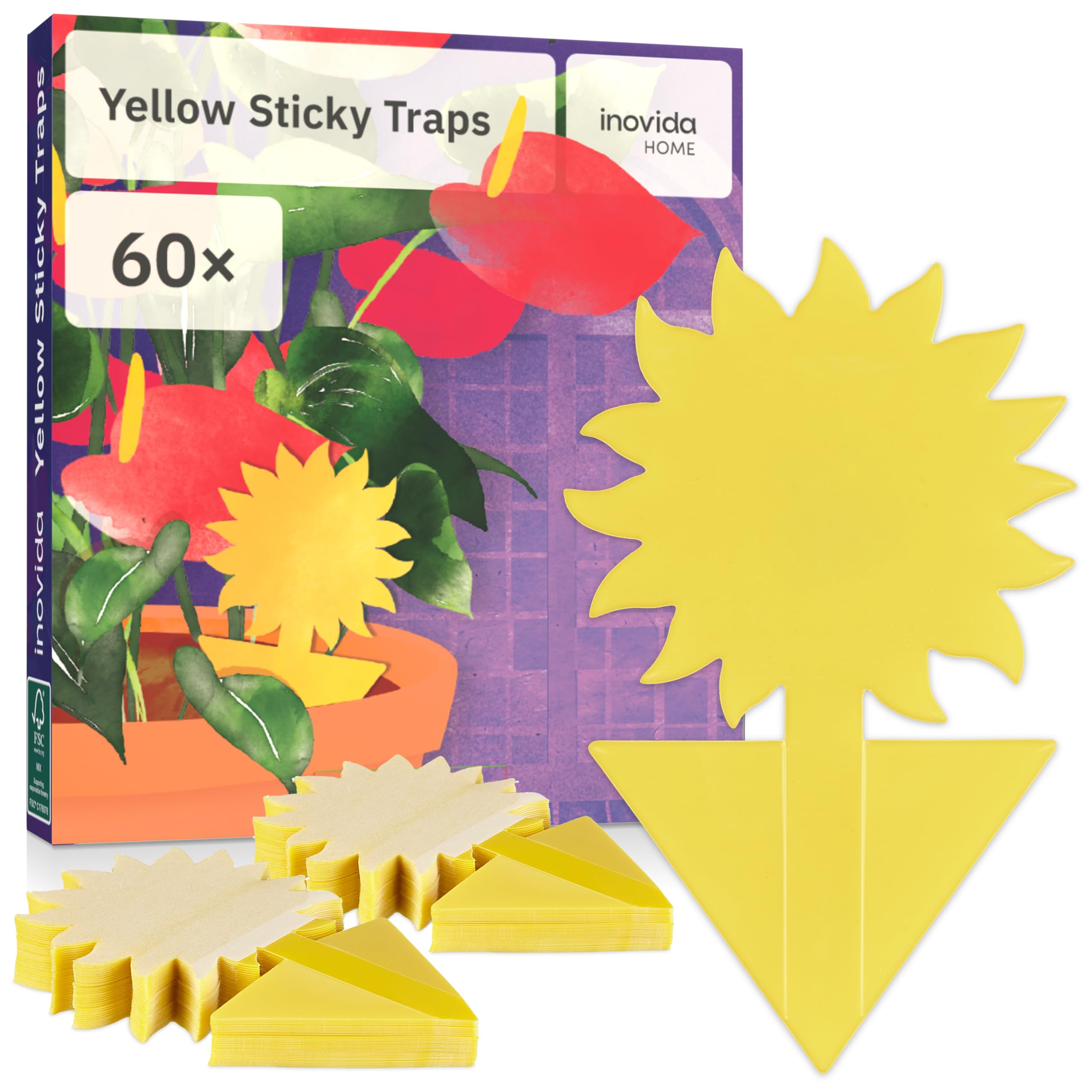 Fungus Gnat Sticky Traps : 60 Yellow Fly Sticky Traps for House Plants – Insecticide Free Fruit Fly Catcher Indoor – Yellow Stickers Pest Control by Inovida