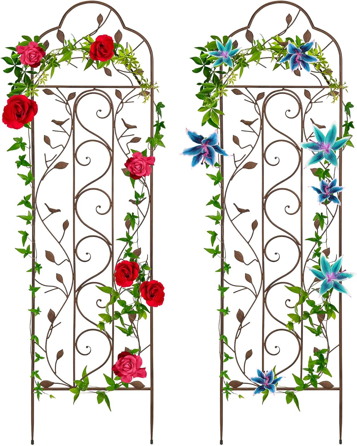 Best Choice Products Set of Two 60x15-inch Iron Arched Garden Trellis w/Branches, Birds for Lawn, Garden, Backyard, Climbing Plants