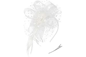 Zivyes Fascinators Hats for Women Tea Party Hat Kentucky Derby Hat Wedding Headpiece Feather Mesh Hair Clip