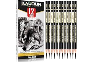KALOUR Professional Charcoal Pencils Drawing Set -12 Pieces Soft, Medium and Hard Charcoal Pencils for Drawing, Sketching, Shading, Artist Pencils for Beginners & Artists