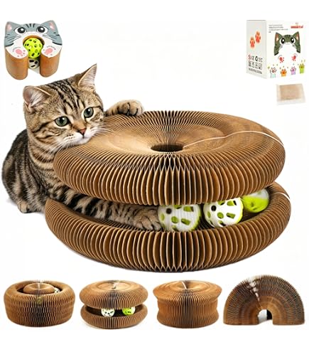 Amazon.com : WRSFXV Kitty Kurlz, Kitty Kurlz Cat Toy, Kitty Kurlz