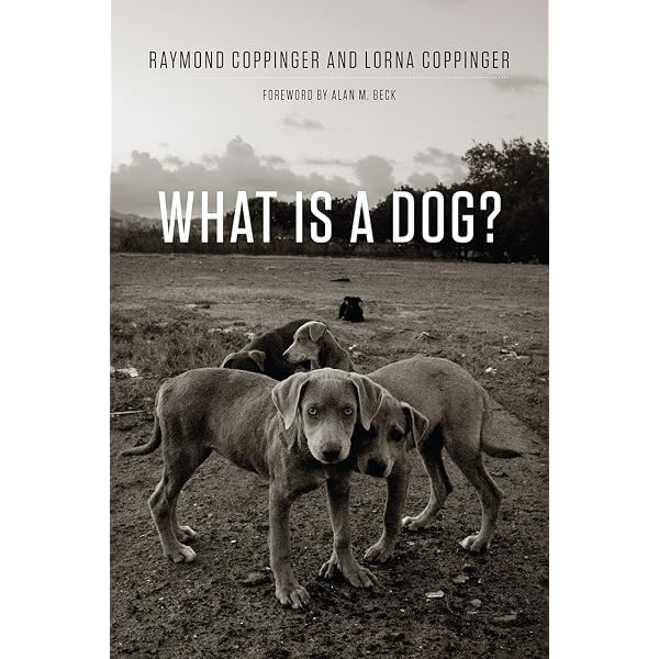 How Dogs Work: Coppinger, Raymond, Feinstein, Mark, Burghardt