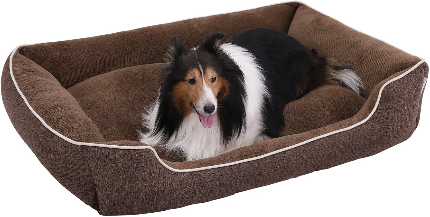 vibrant life dog food reviews