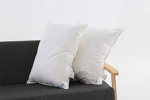 Amazon Com Set Of 2 White Goose Down And Feather Bed Pillow