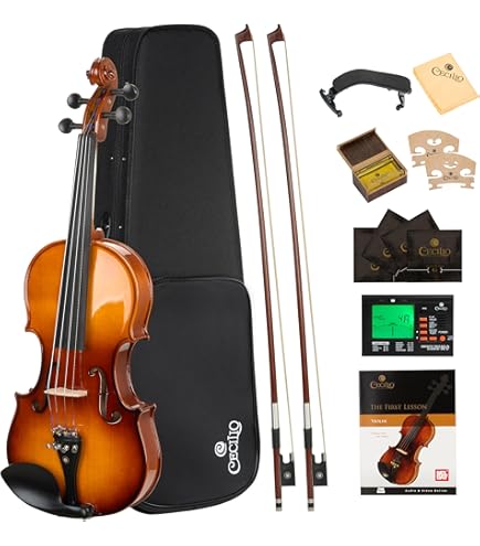Amazon.com: Stentor 1400 3/4 Violin : Musical Instruments