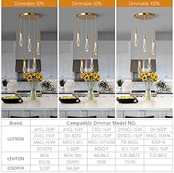 LMQNINE Kitchen Light Fixtures Ceiling Dimmable LED