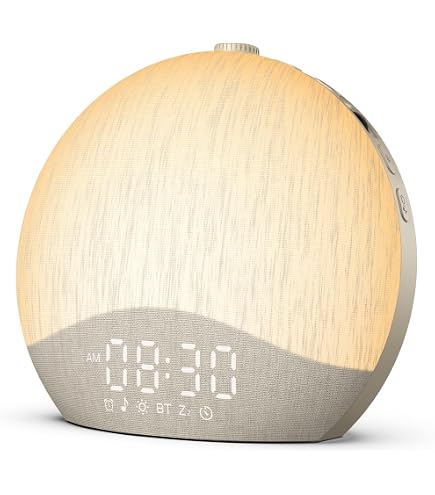 Amazon.com: ecozy Sunrise Alarm Clock, White Noise Sound Machine