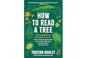 How to Read a Tree: Clues and Patterns from Bark to Leaves (Natural Navigation)