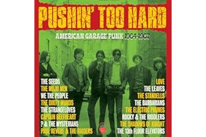 Pushin' Too Hard: American Garage Punk 1964-1967 / Various