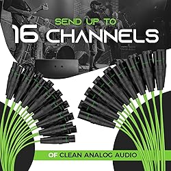 GearIT 16-Channel XLR Snake Cable