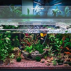 Sieral Aquarium Polycarbonate Canopy Set 35.13 x
