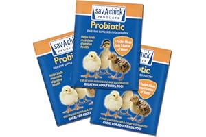 Sav-A-Chick® Probiotic Supplement | 1 strip (3 - 0.17 oz packets)