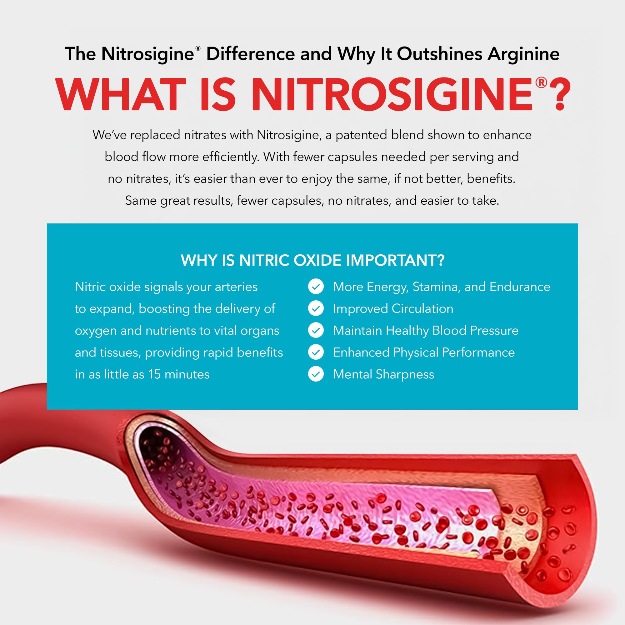 Juvenon BloodFlow-7 Nitric Oxide Supplement with Nitrosigine - Improved Formula for Maximum Absorption - Circulation Booster, Blood Pressure, Cholesterol Support (180 Count (Pack of 1))