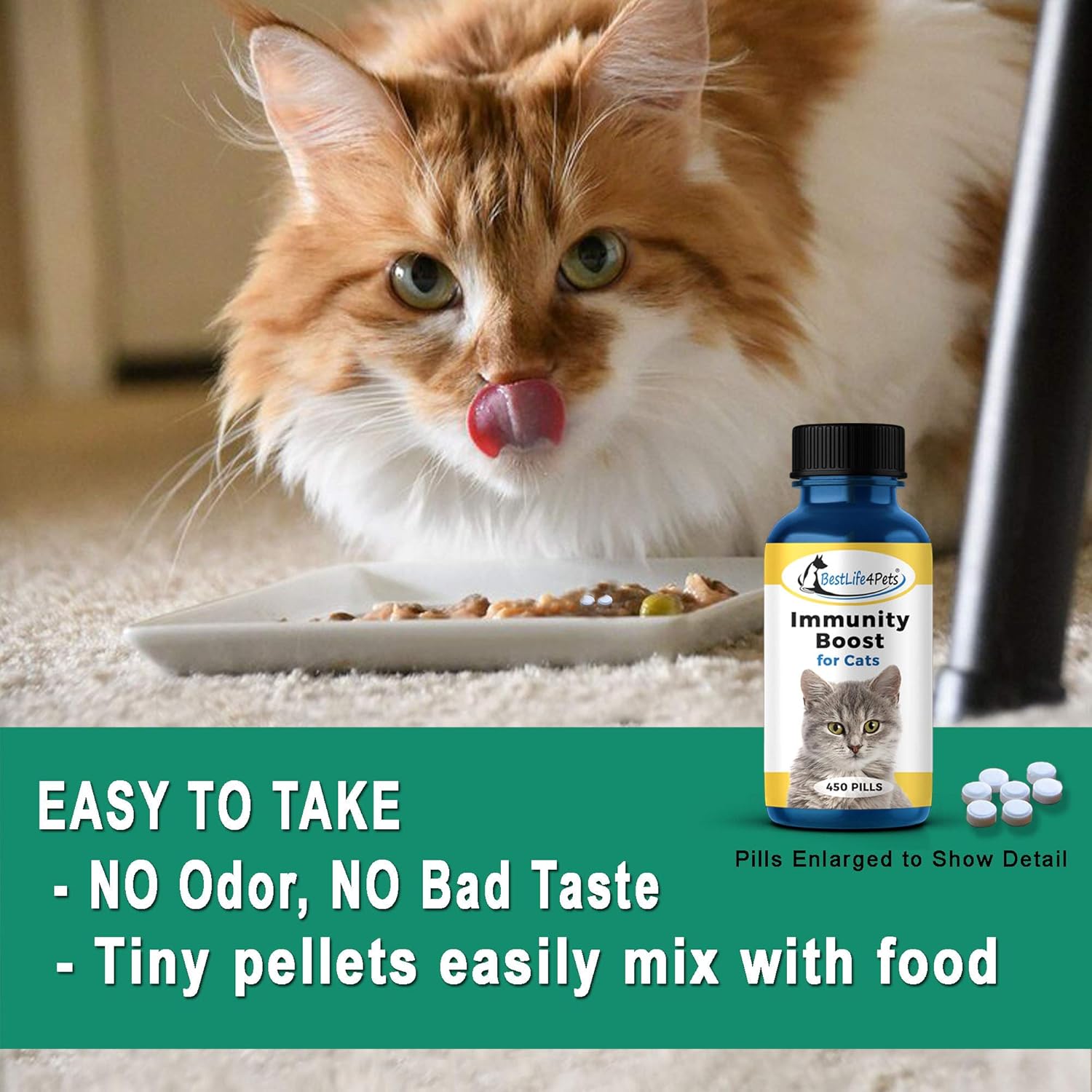 Amazon Com Bestlife4pets Immunity Boost For Cats Supplement Helps Your Feline S Respiratory And Digestive System Fight Off Colds And Infections All Natural No Fuss Remedy 450 Pills Pet Supplies