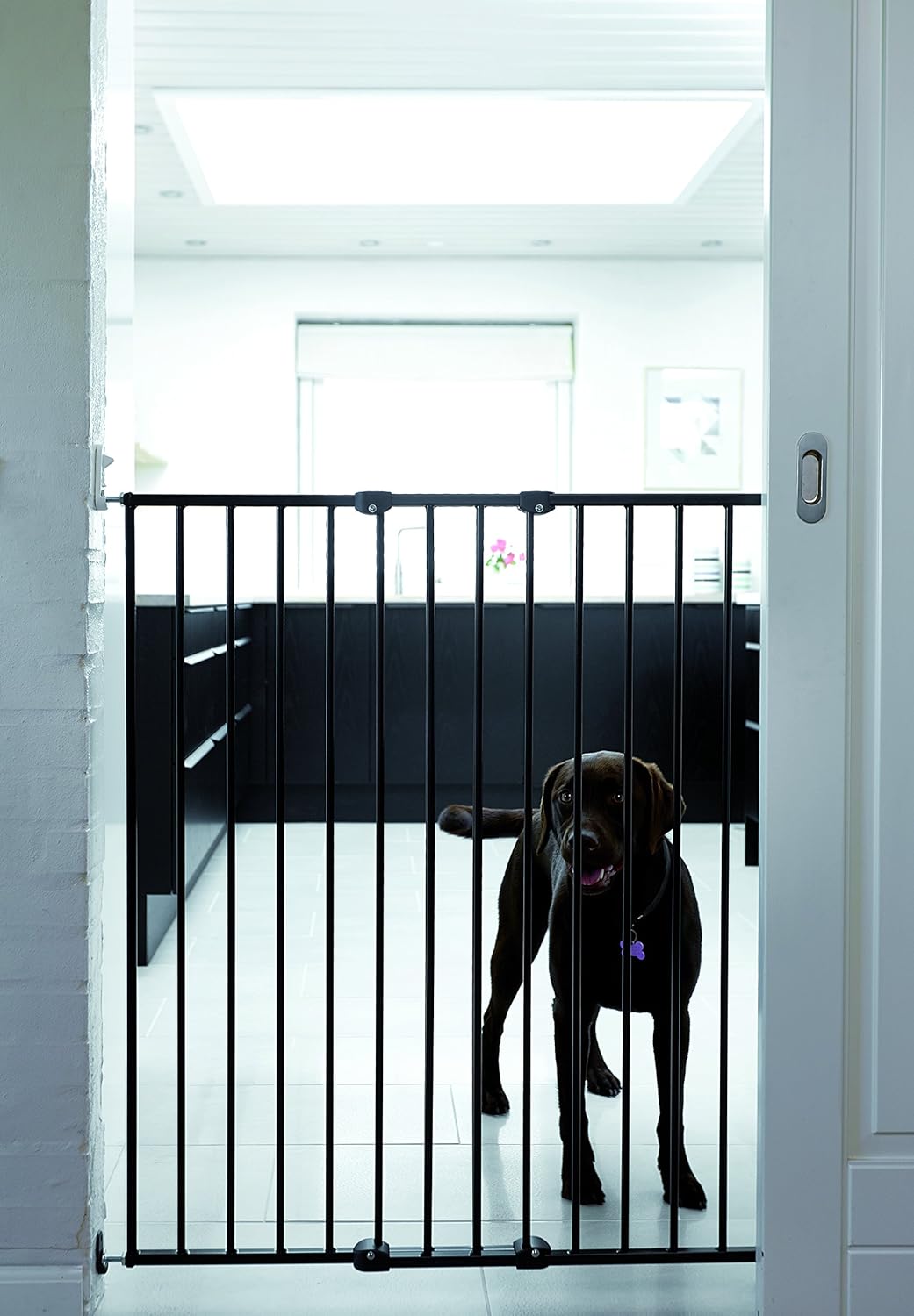 Scandinavian Pet Design Extra Tall Extending Child and Pet Gate BigaMart