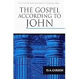 The Gospel according to John (The Pillar New Testament Commentary (PNTC))