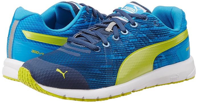 puma 300v4