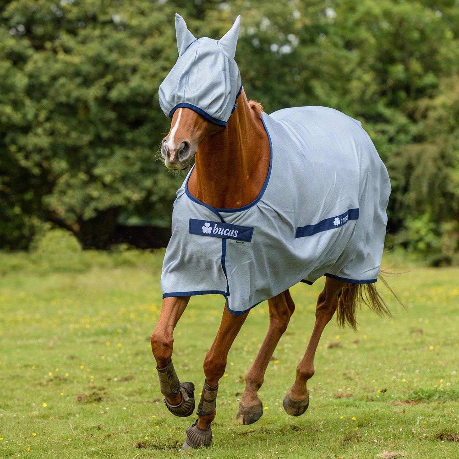 Bucas Fly Blanket For Horses BuzzOff Classic Cut 145CM Amazon.co.uk