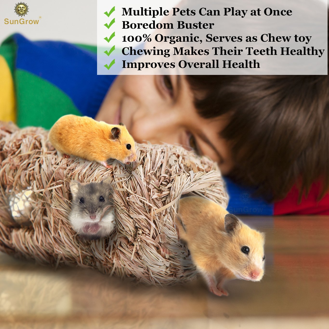 Hand-woven Seagrass Tunnel Toy --- Small Animal Activity Center from SunGrow - Pet-safe, all natural grass tunnel house - Perfect for Rabbits, Gerbils, Hamsters and Chinchillas