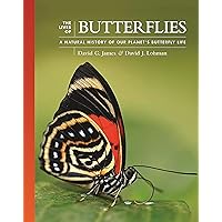 The International Butterfly Book 英語版 初版本 The International